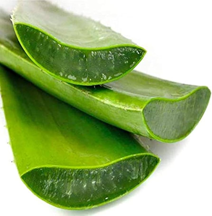 aloe-vera-leaf-stick